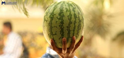 最新事件 吃瓜,吃瓜群众如何解读舆论风波？”