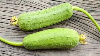 墓前错吃瓜,墓前误食瓜果引发的意外事件