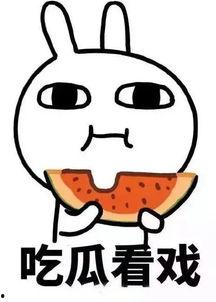 娱乐吃瓜酱蠢人,蠢人生涯的趣味解读