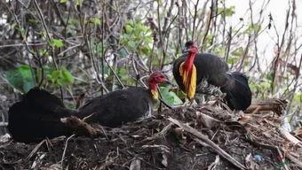 无情吃瓜小能手