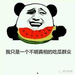 带你吃瓜讲飞机,揭秘飞机背后的故事与科技