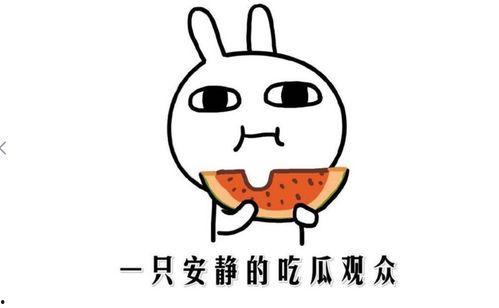 51黑料吃瓜热门吃瓜在线看,在线观看，揭秘娱乐圈幕后风云